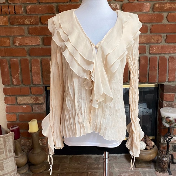 Kaelyn-Max Tops - Kaelyn-Max Sheer Beige Crinkle Ruffle Blouse sz L